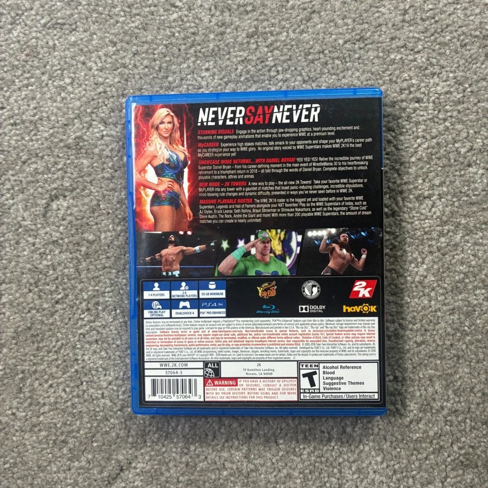 2K Games WWE 2K19 PlayStation 4 Wrestling Sports Game